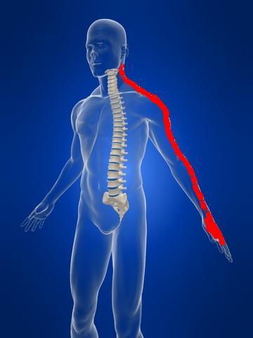 Chiropraxie - Chiropractor - Chiropractie - Pierre Mercier - Aranka ...